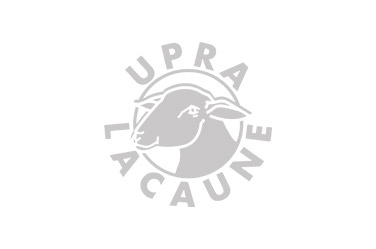 Organisme de sélection des races de brebis lacaune - UPRA Lacaune